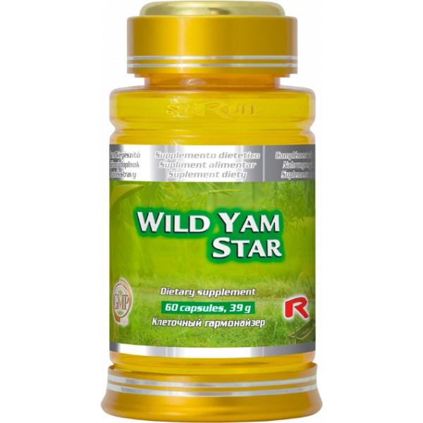 Wild yam star pomáhá normalizovat hladiny hormonů v období  klimaktéria,  zpomaluje stárnutí